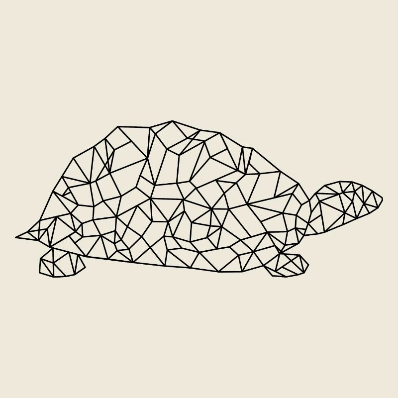 Turtle Polygon