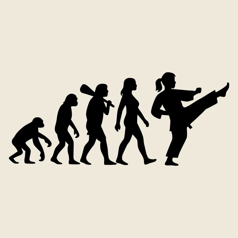 Karate Evolution