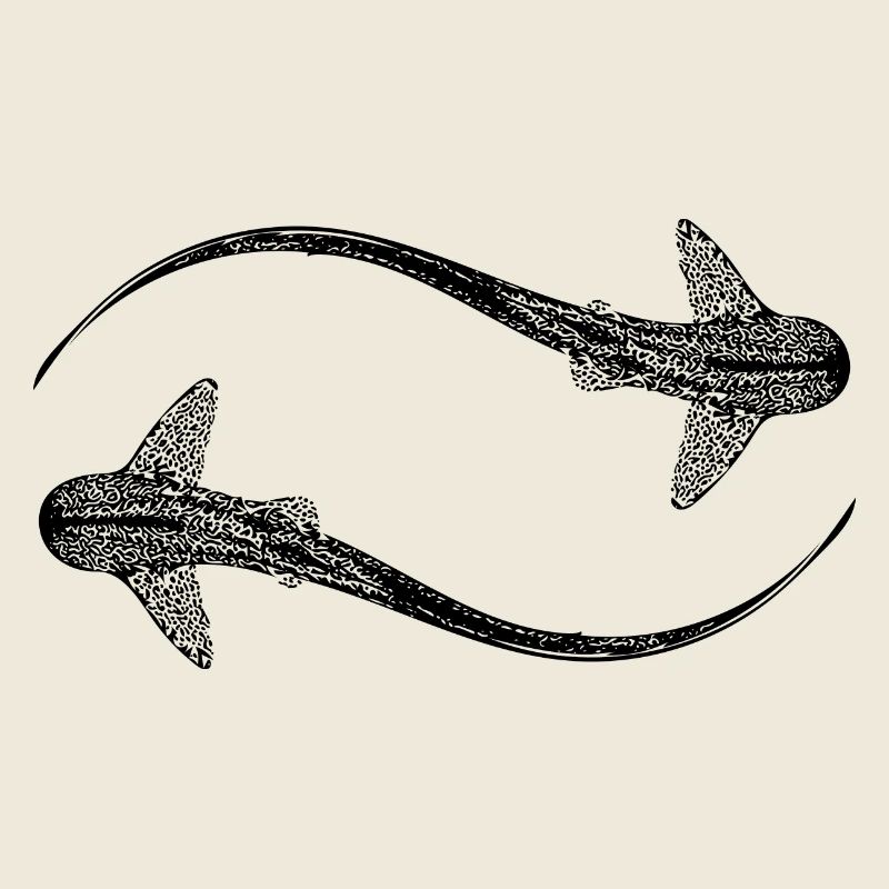 Elegant vintage circling leopard sharks