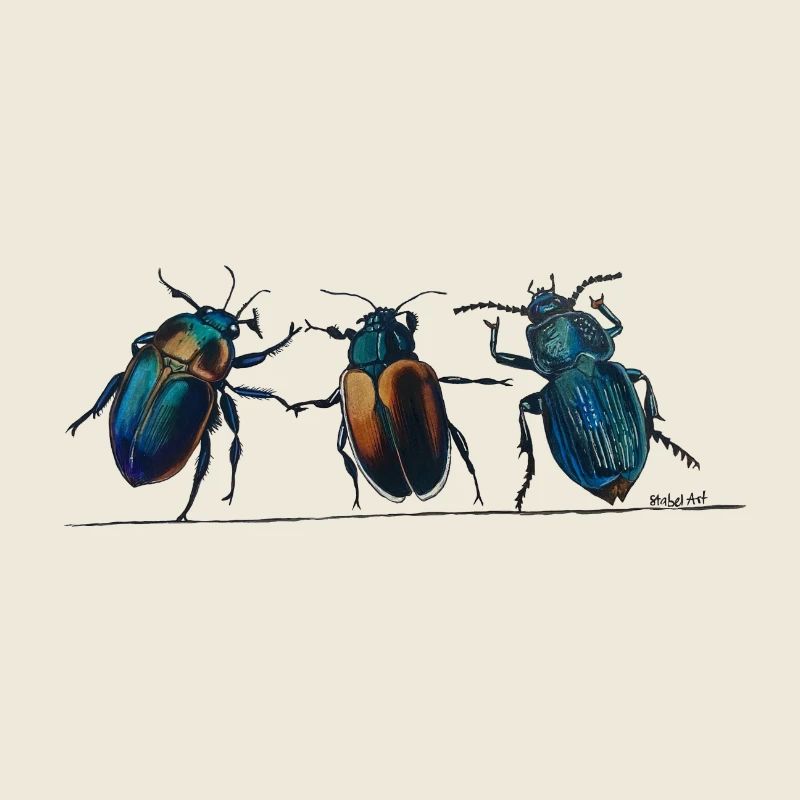 3Coléoptères