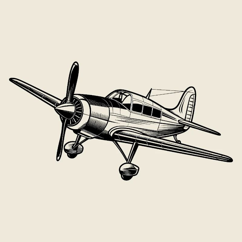 Flugzeugpilot Flugplatz Flugsport