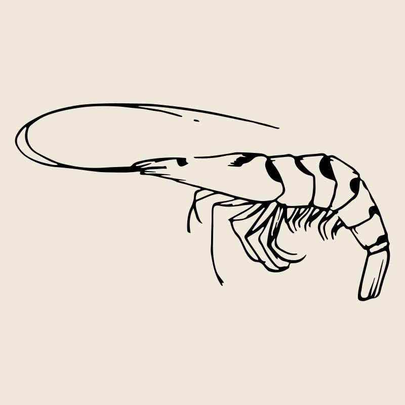 Garnele