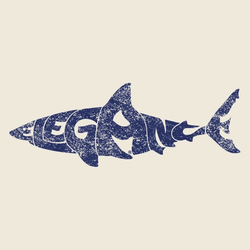 Requin élégant