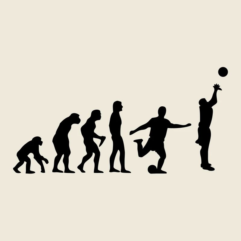 Basket-ball Evolution Basketball Basket