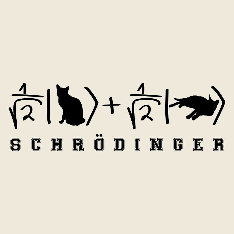 Quantenphysik Schrödinger Katze