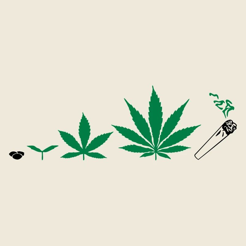 Cannabis development