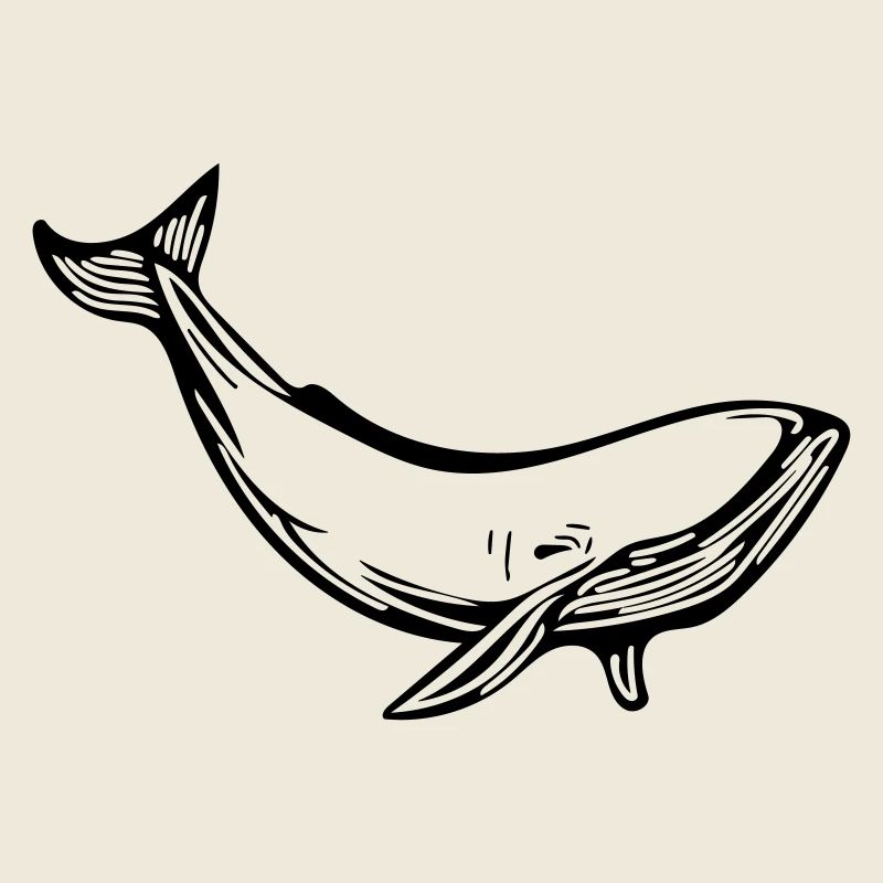 baleine
