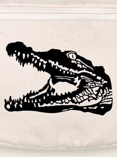 Crocodile