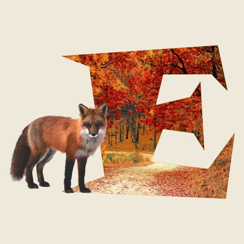 e forêt d'automne avec renard