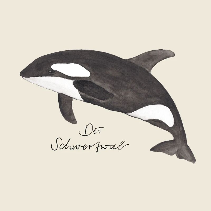 Schwertwal als Aquarell