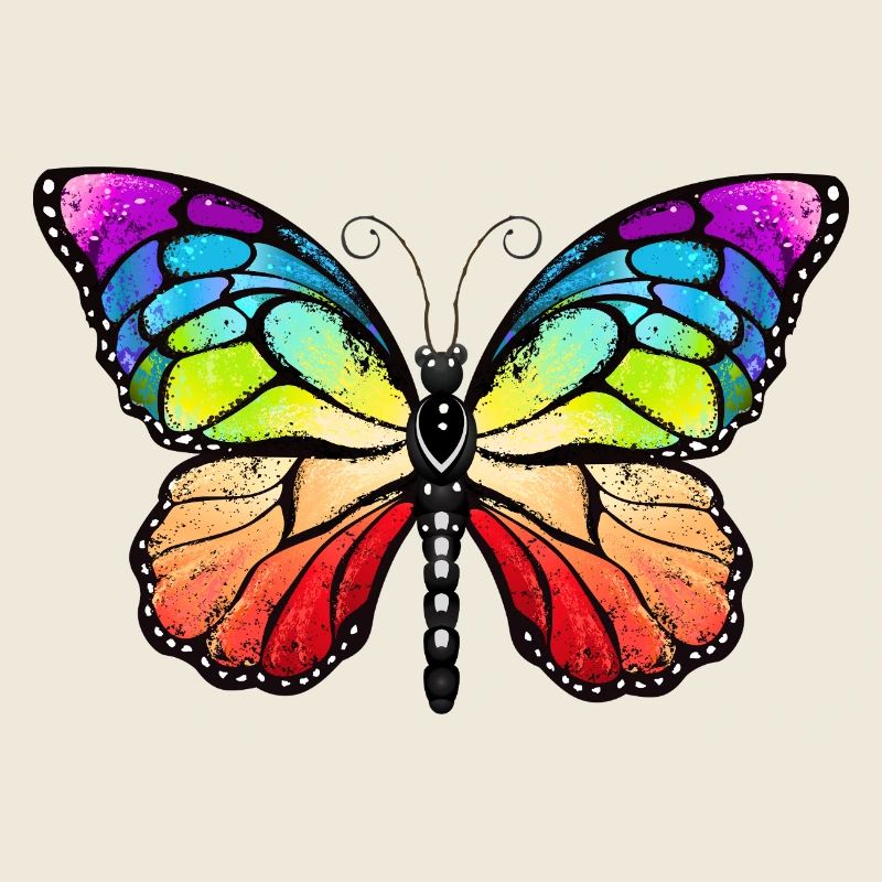 Rainbow pride butterfly