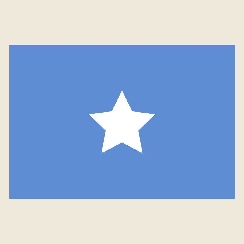 Drapeau somalien