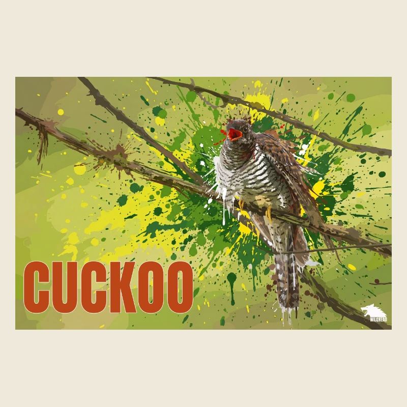 CUCKOO