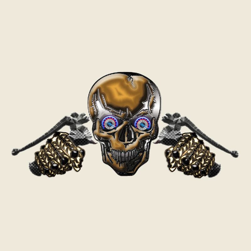 Counter Skull Biker