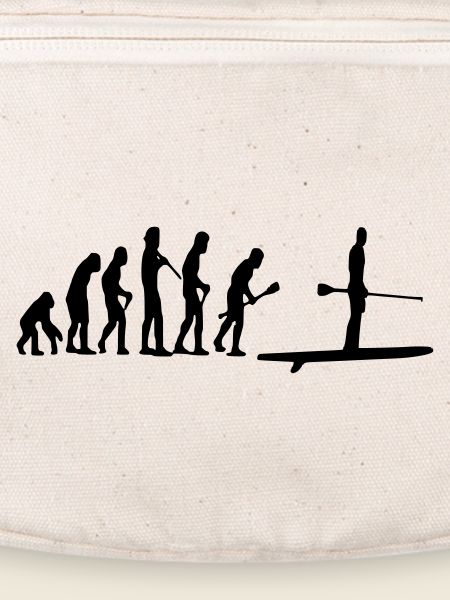 Paddle Evolution