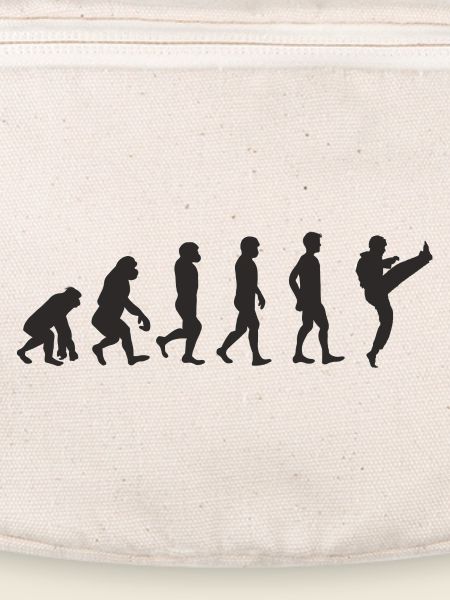 Evolution Karate