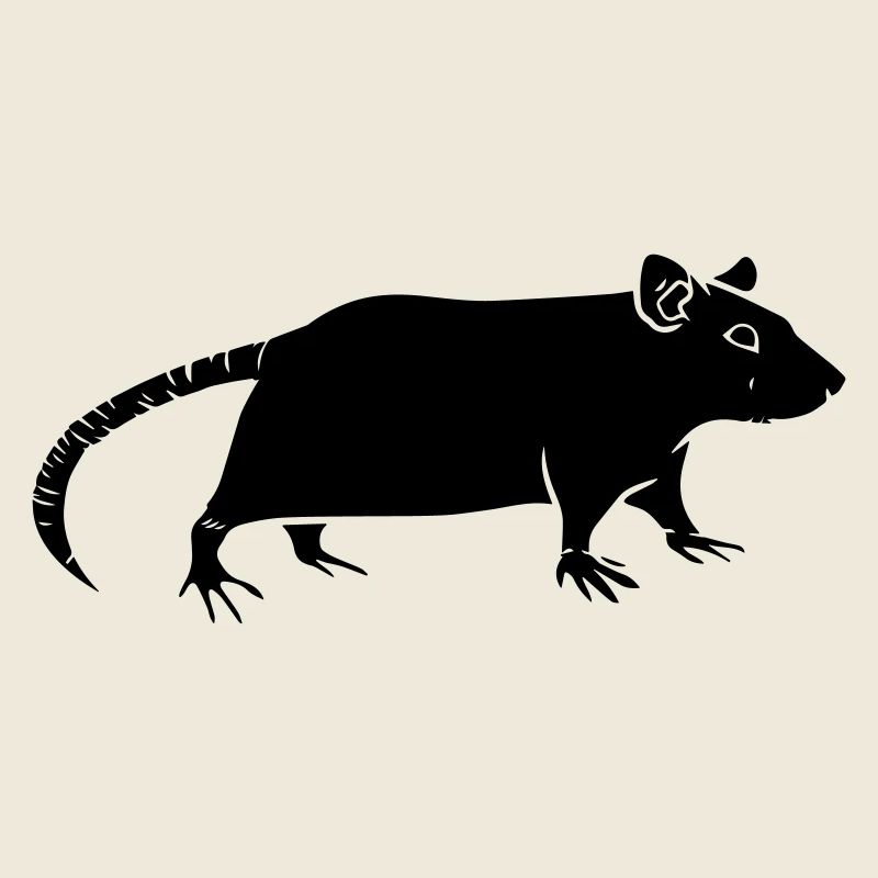 rat