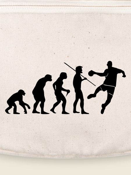 Handball Evolution