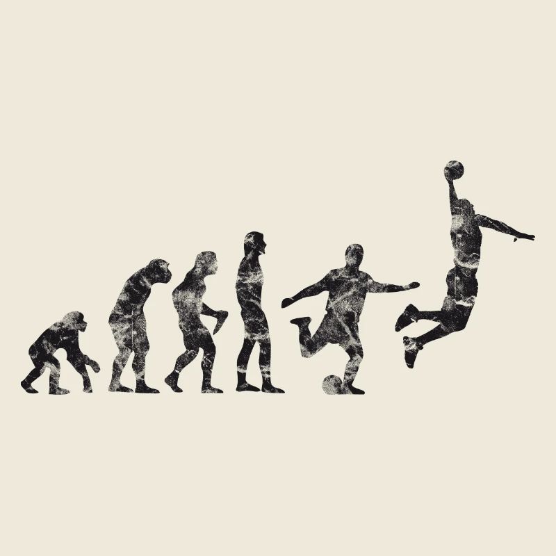 Basket-ball Evolution Basketball Basket
