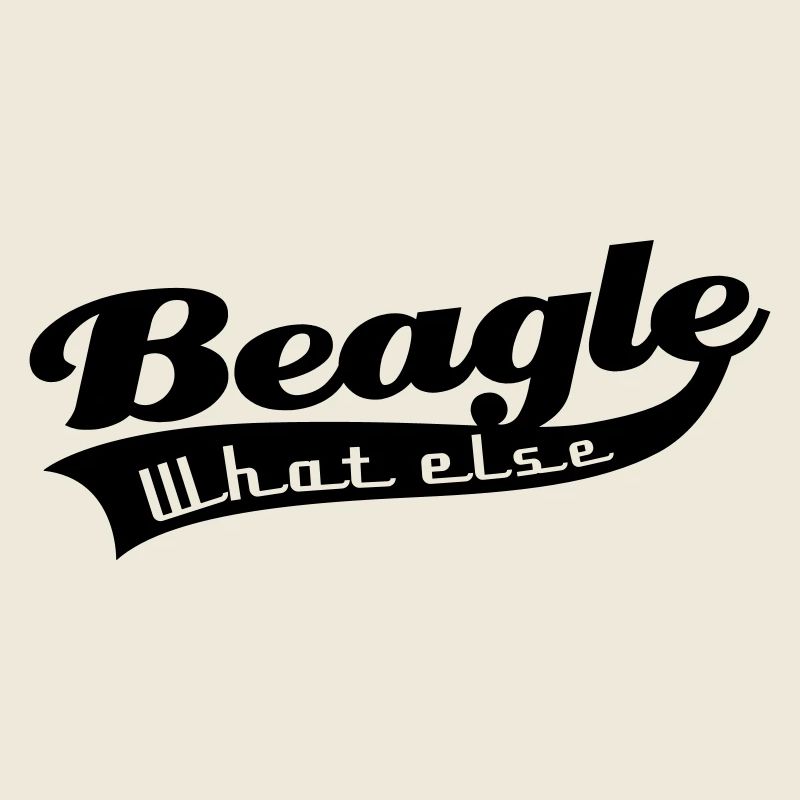 Beagle