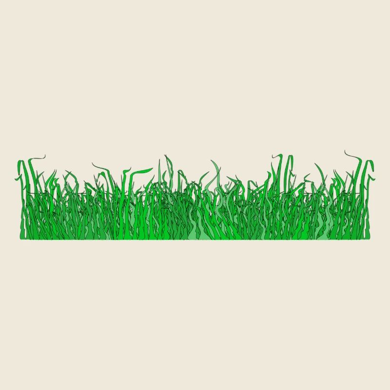 Gras
