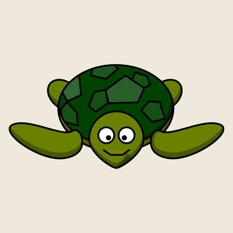 tortue