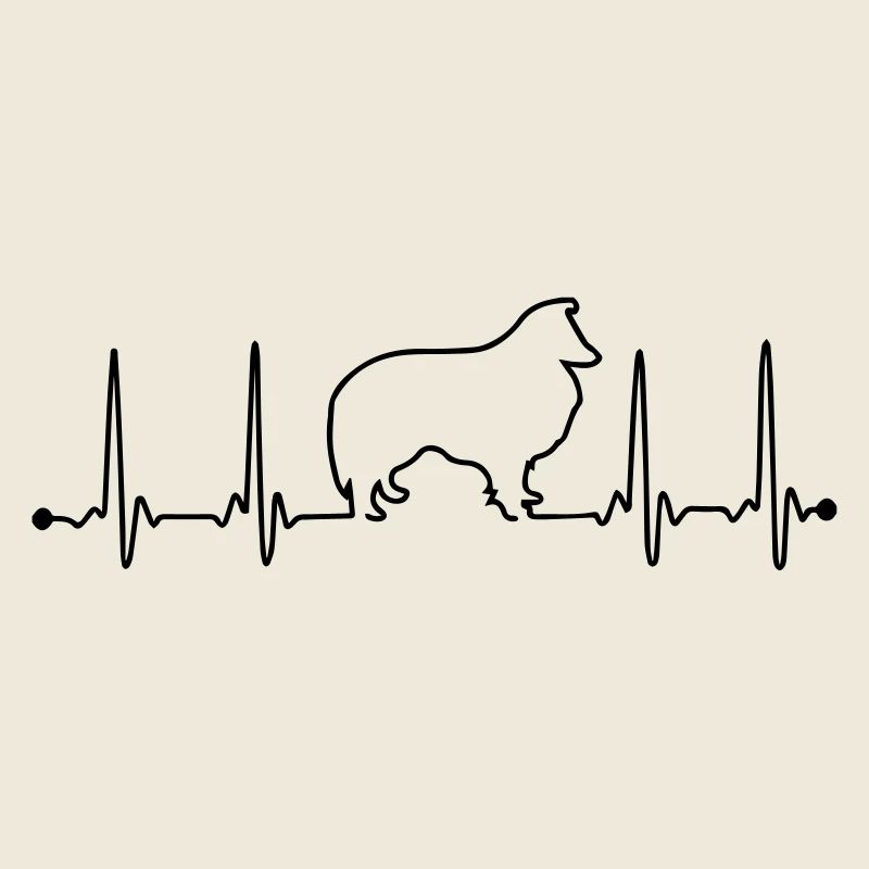 Sheltie Herzfrequenz