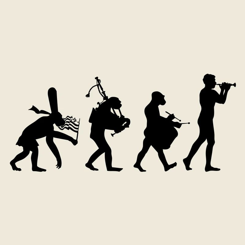 évolution bombarde 2 bagad