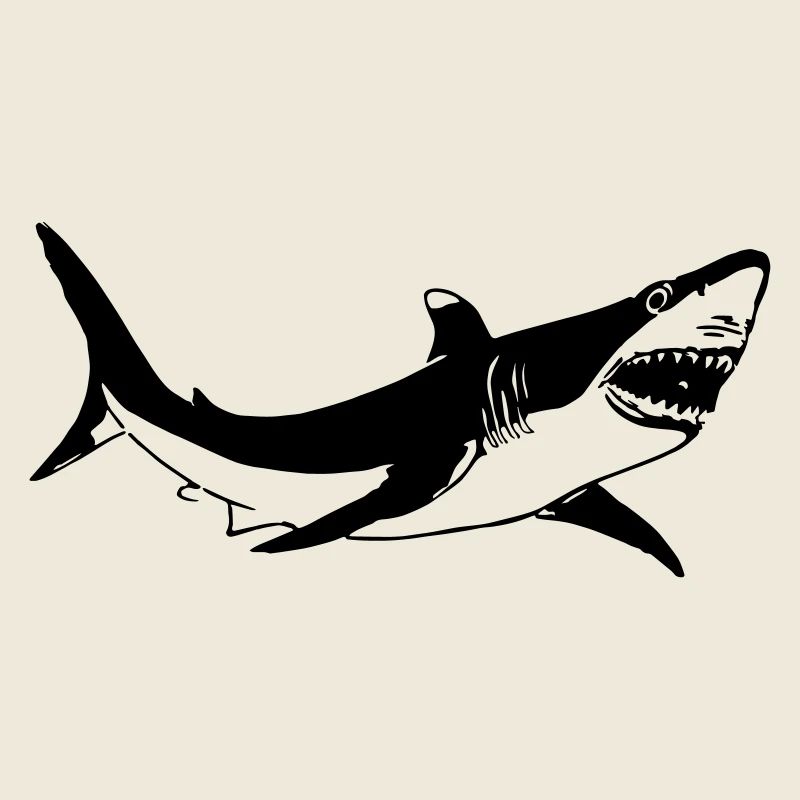 Requin blanc
