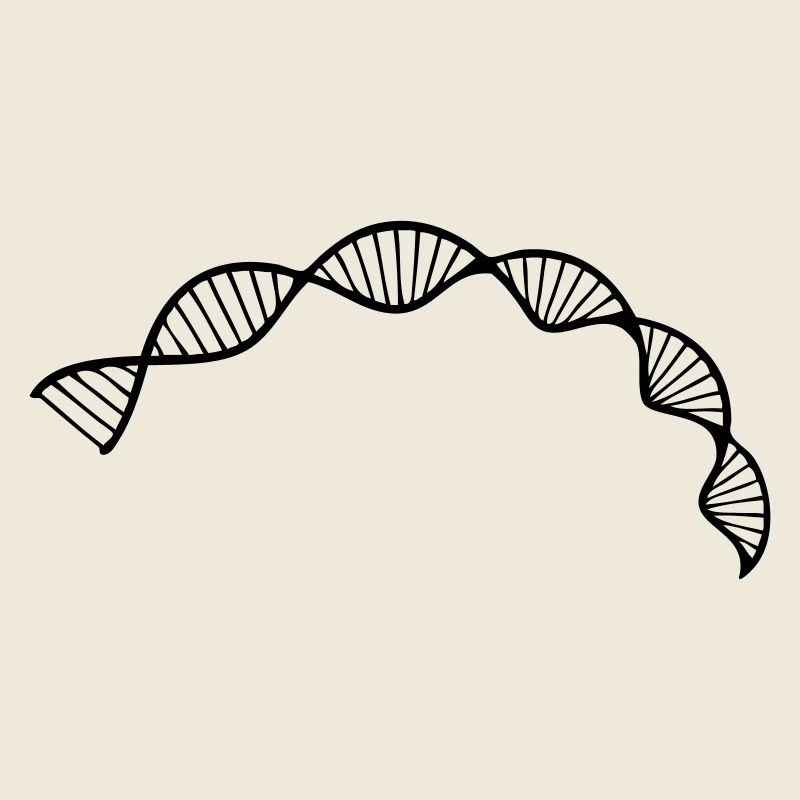 DNA double helix structure cell sequence