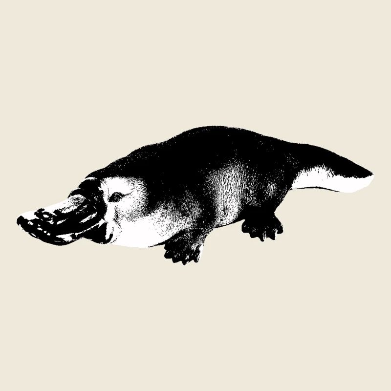 Platypus