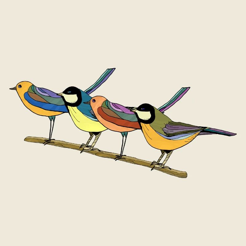 Oiseaux
