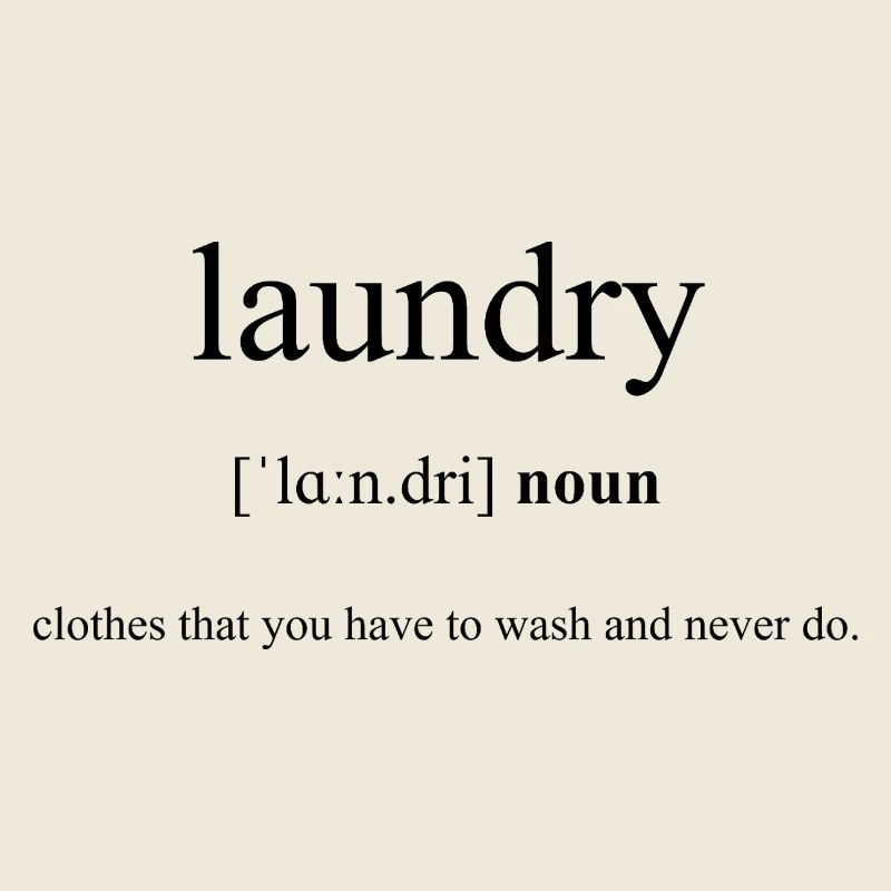 Laundry Definition Dictionary