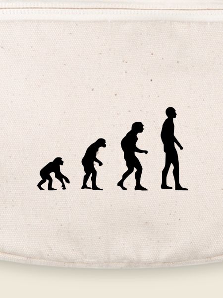 Evolution