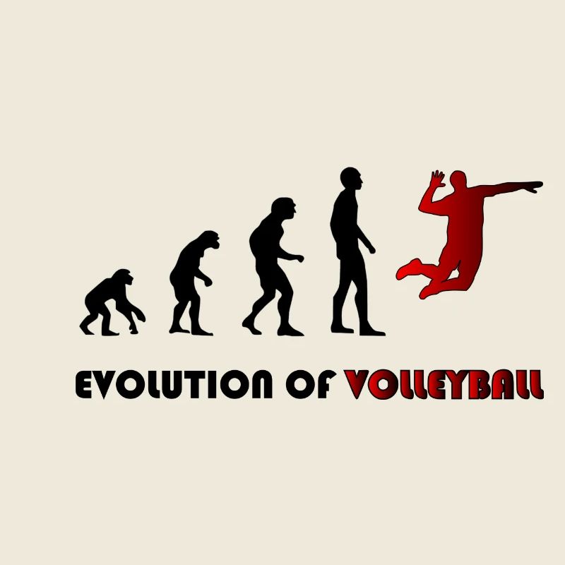 Évolution du volleyball