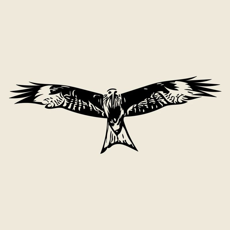 Falcon