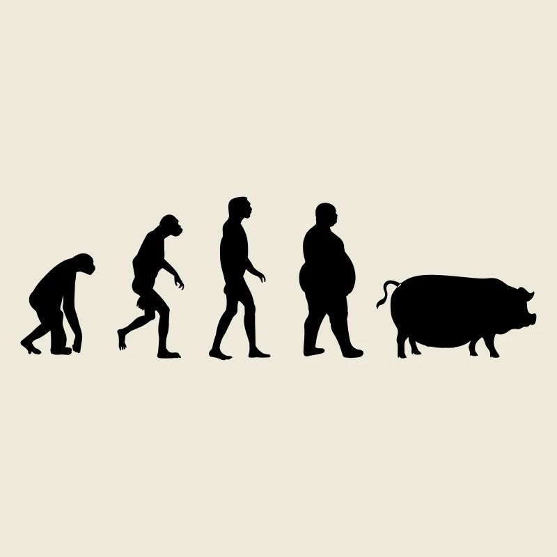 Evolution du singe à l'homme de porc
