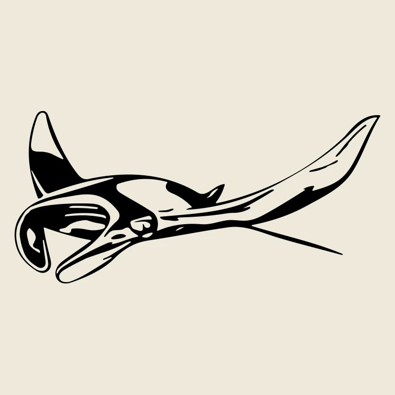 Manta Rochen