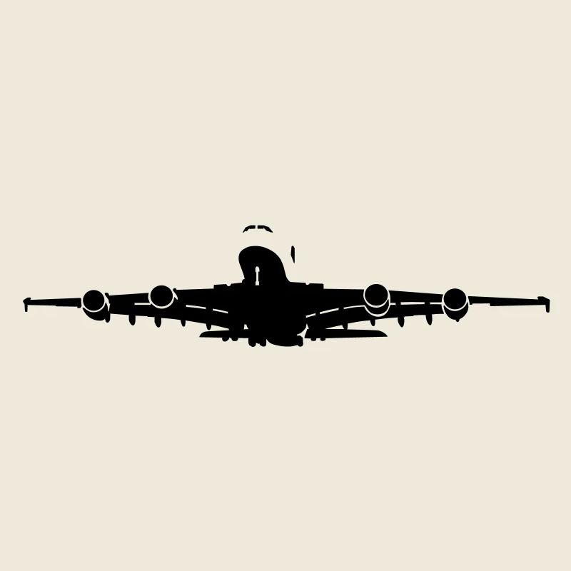 Passagierflugzeug