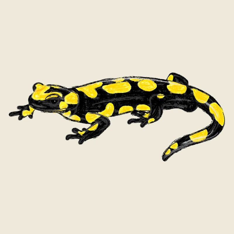 Fire Salamander I