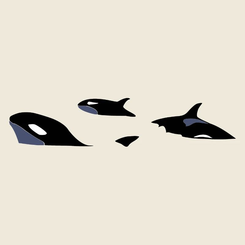 Orcas
