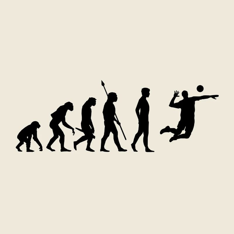 Volleyball Beach Volleyball Evolution