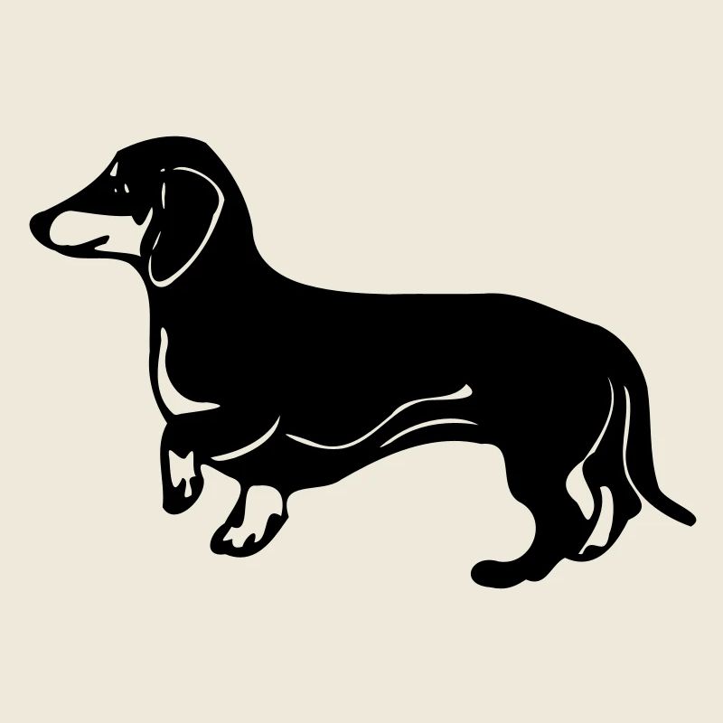 dachshund dog