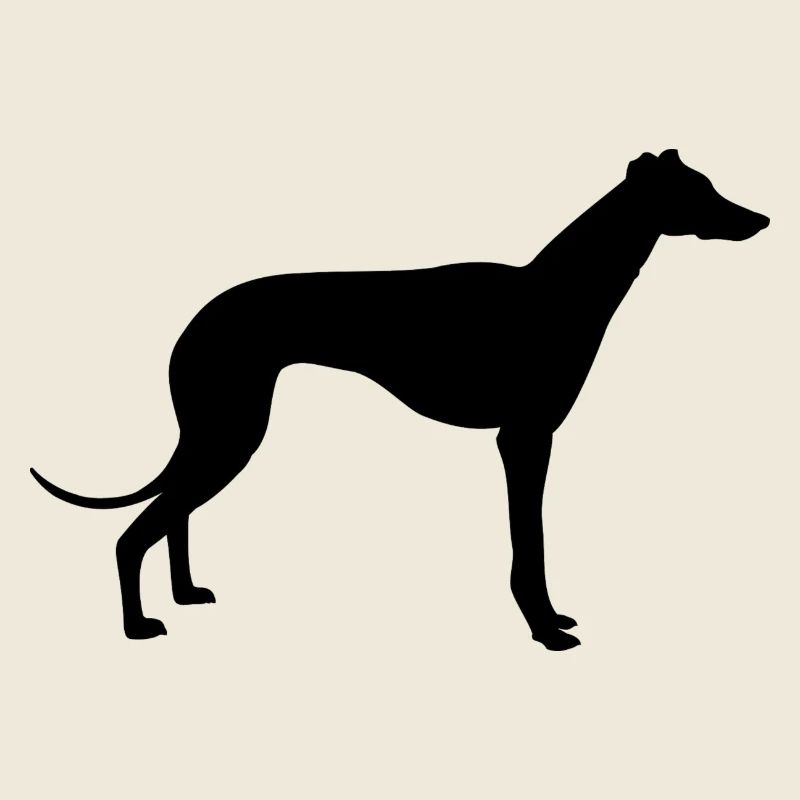Windhund
