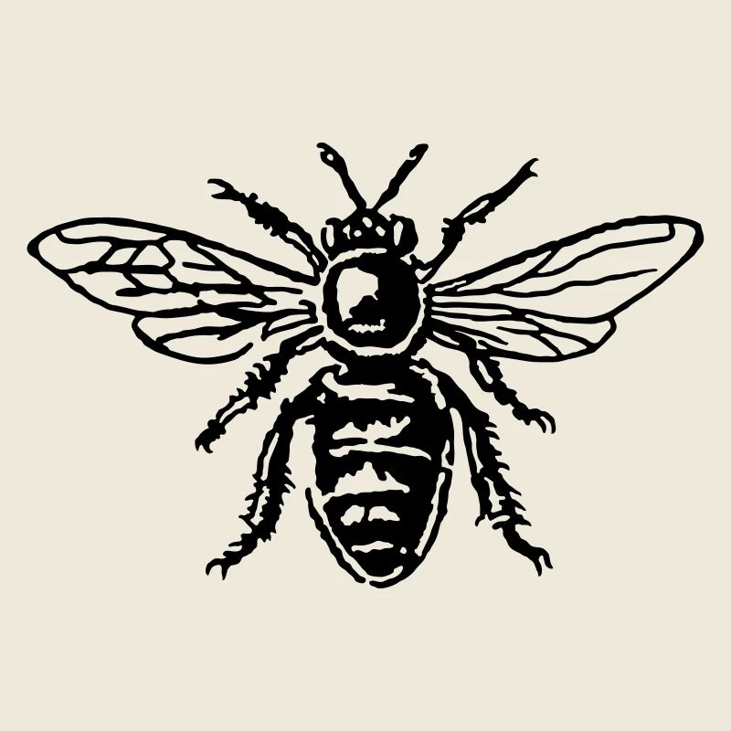 Honey Bee