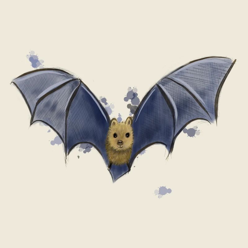 Chauve-souris