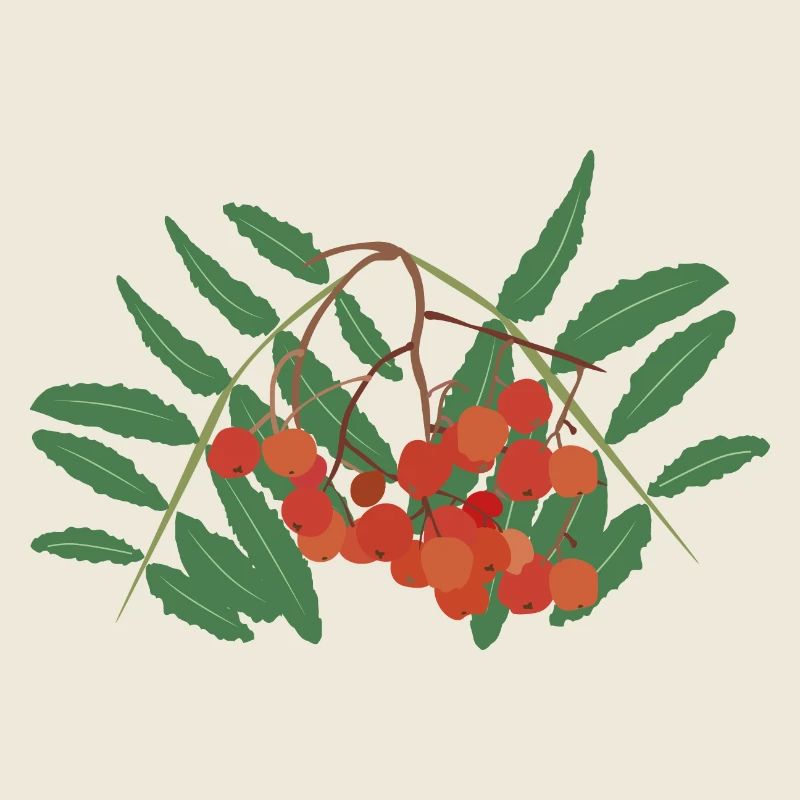 Rowan berries