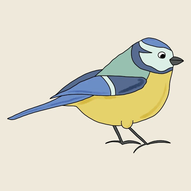 small blue, multicoloured