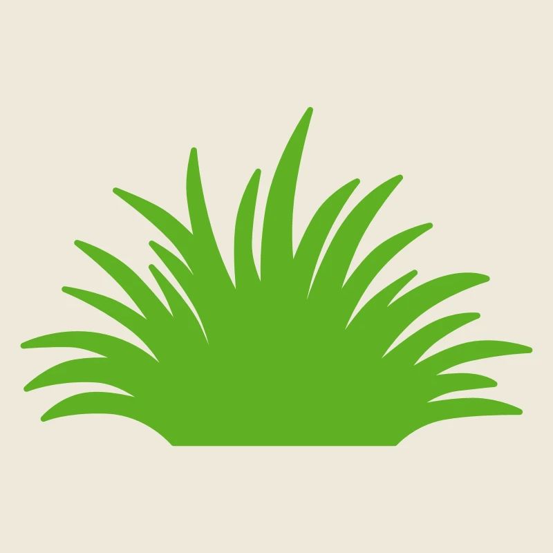 Herbe