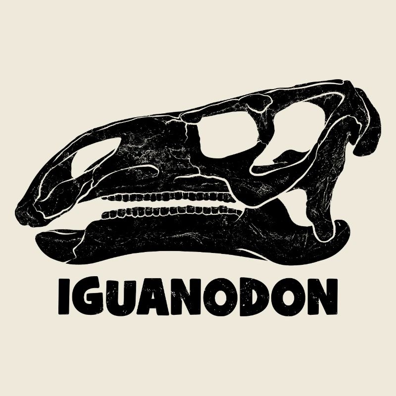 Fossile de crâne d’iguanodon